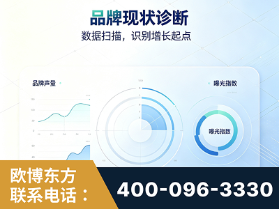 红河-品牌现状诊断